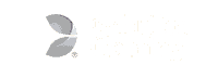 Evolution Casino